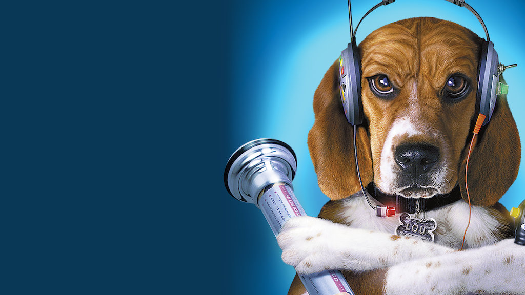 Comme Chiens Et Chats Netflix Comme Chiens Et Chats Netflix