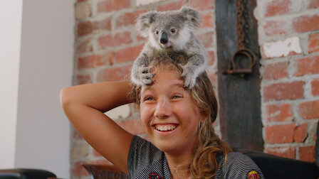 Izzy Et Les Koalas Site Officiel De Netflix Izzy Et Les Koalas Site Officiel De Netflix