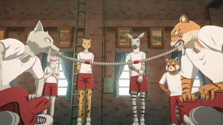 动物狂想曲 Netflix 官方网站