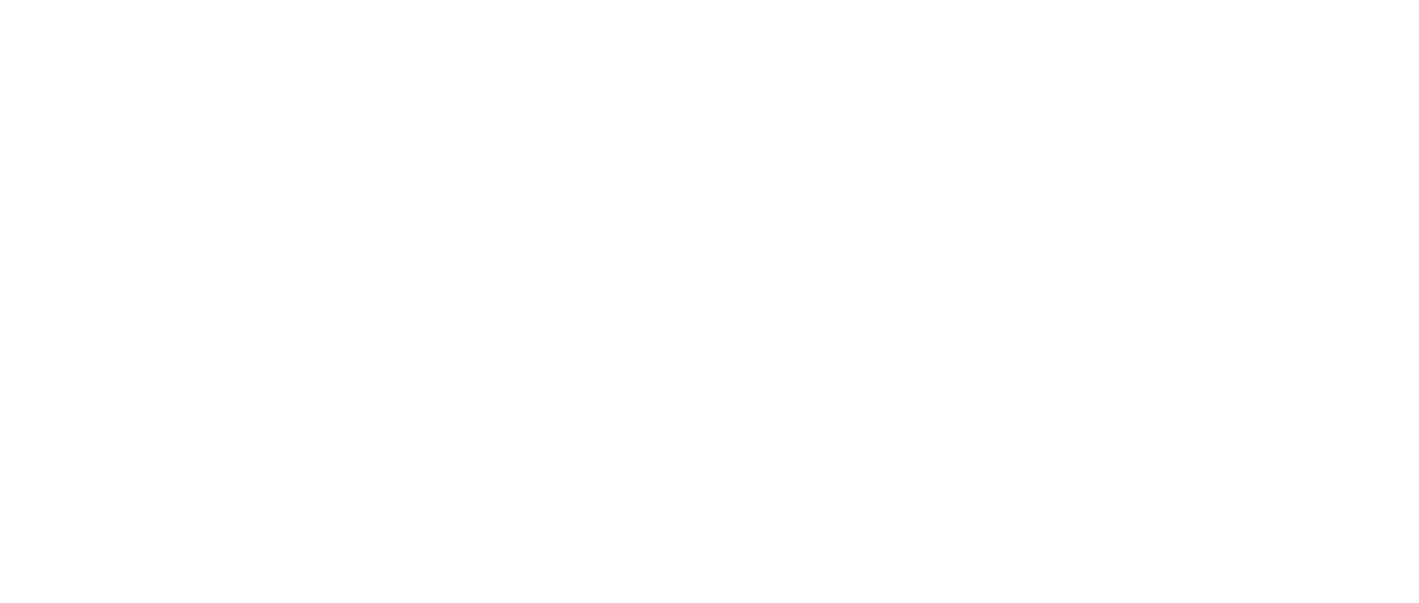 ソマリと森の神様 Netflix