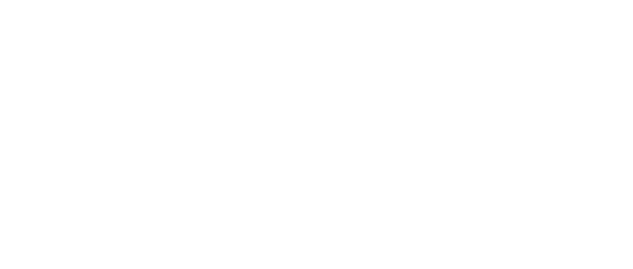 しあわせの隠れ場所 Netflix