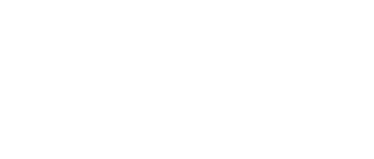 私の頭の中の消しゴム Netflix