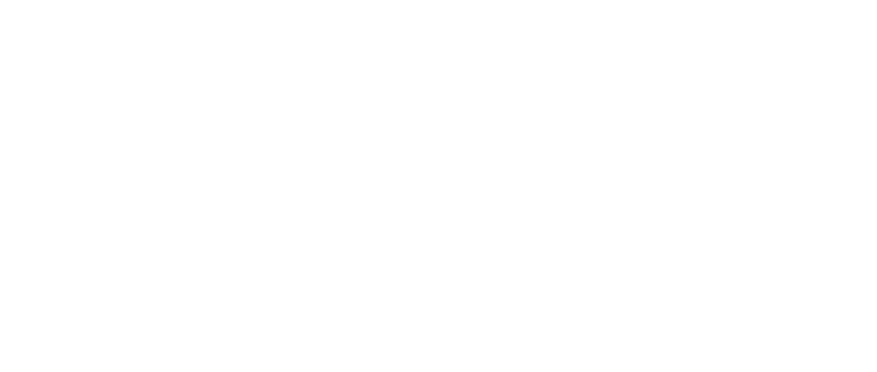 Lion ライオン 25年目のただいま Netflix
