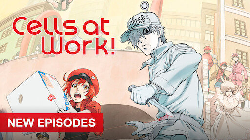Your Lie In April Netflix Your Lie In April Netflix