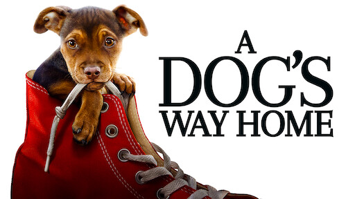 a dog's way home full movie online free